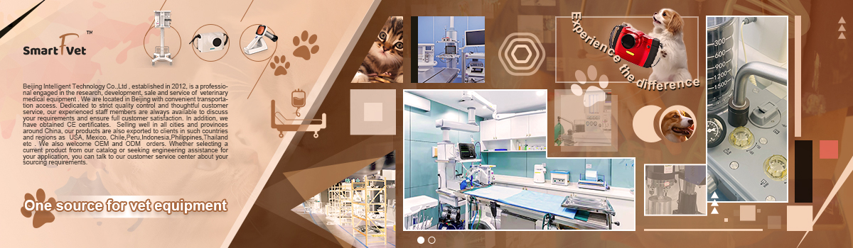 Veterinary Ultrasound Cutting Hemostasis Veterinary Ultrasound Cutting Hemostasis