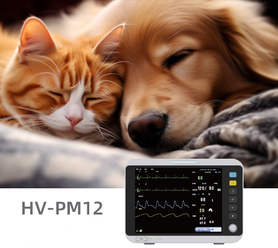 Veterinary Multi-parameter Patient Monitor 1 微信图片 20230815121417