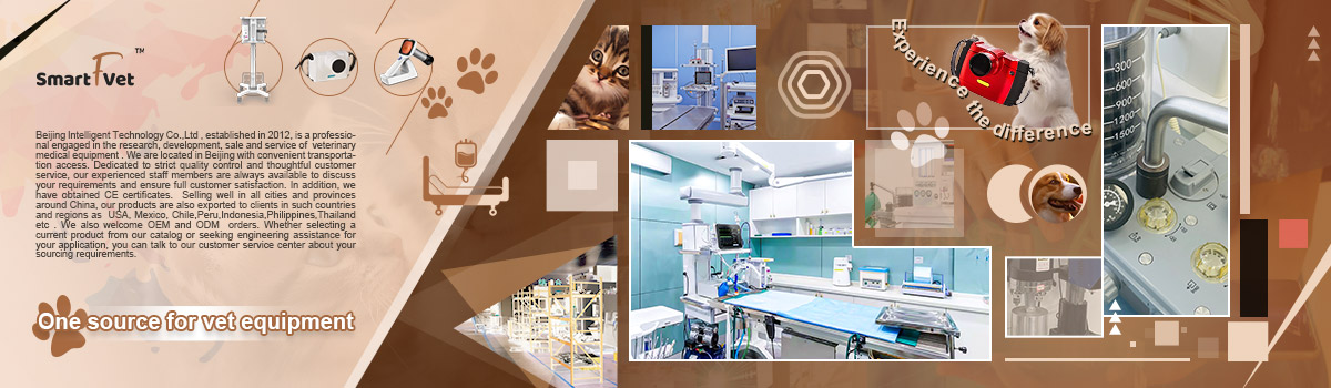 Veterinary Examination Led Light Surgical Exam Lamp